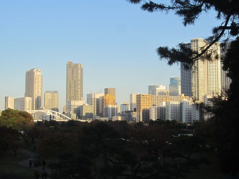 Tokyo — Seven days of Tokyo at its own pace